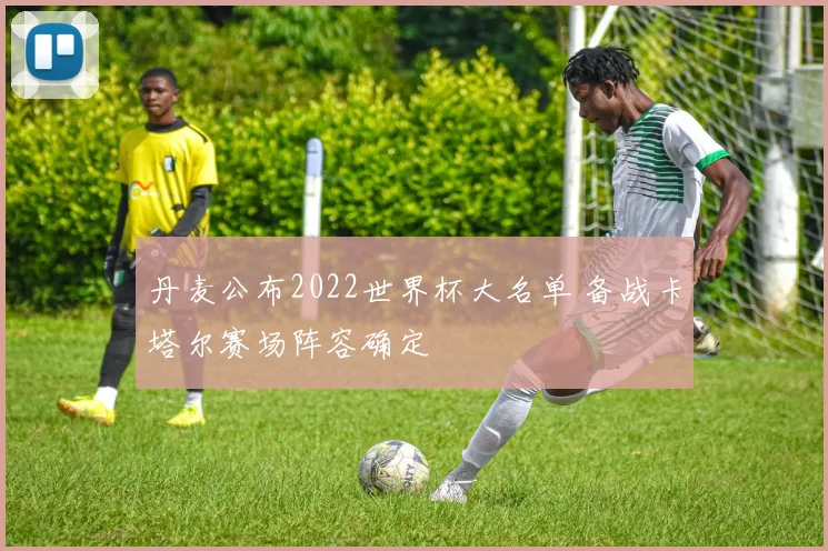 丹麦公布2022世界杯大名单 备战卡塔尔赛场阵容确定