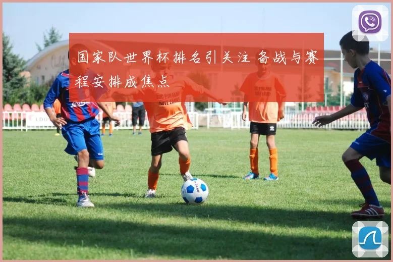 国家队世界杯排名引关注 备战与赛程安排成焦点