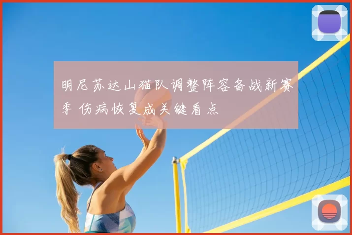 明尼苏达山猫队调整阵容备战新赛季 伤病恢复成关键看点