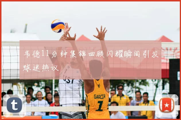 韦德11分钟集锦回顾闪耀瞬间引发球迷热议