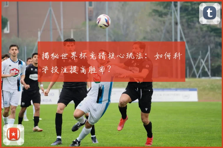 揭秘世界杯竞猜核心玩法:如何科学投注提高胜率?