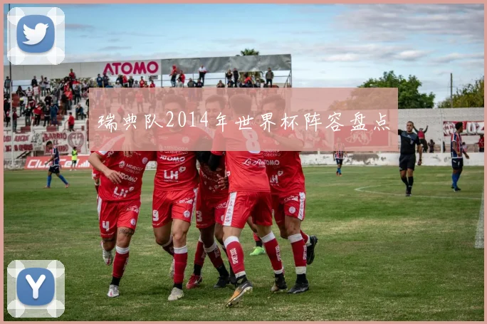 瑞典队2014年世界杯阵容盘点