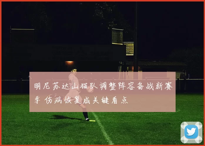 明尼苏达山猫队调整阵容备战新赛季 伤病恢复成关键看点