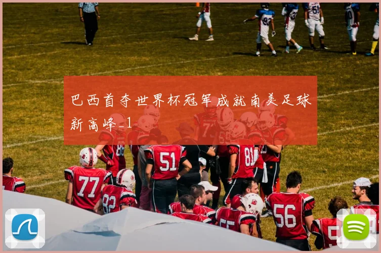 巴西首夺世界杯冠军成就南美足球新高峰_1