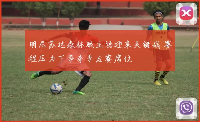 明尼苏达森林狼主场迎来关键战 赛程压力下争夺季后赛席位