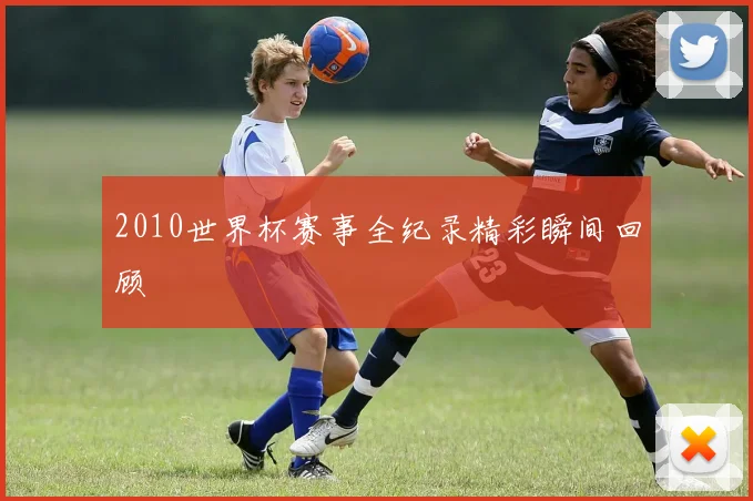 2010世界杯赛事全纪录精彩瞬间回顾