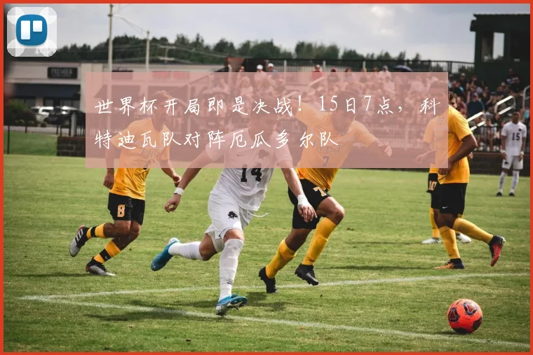 世界杯开局即是决战！15日7点，科特迪瓦队对阵厄瓜多尔队